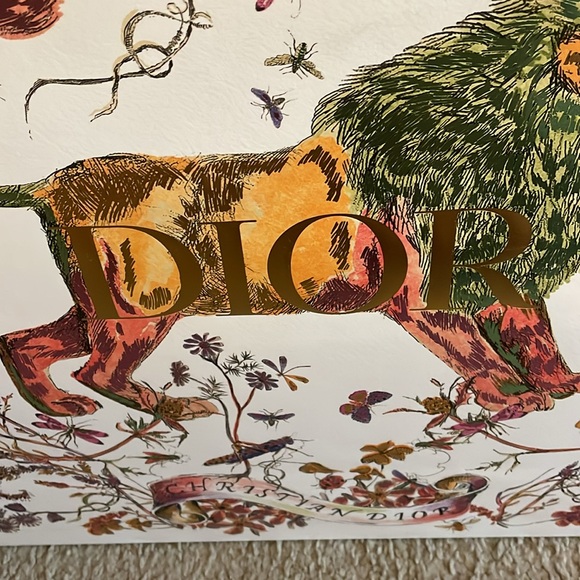 Large Dior shopping bag - Picture 4 of 4